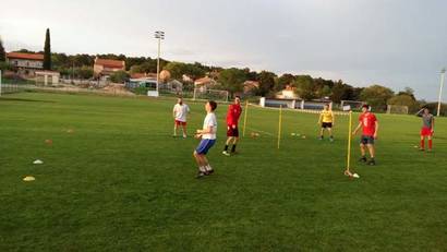 Standardni trening
